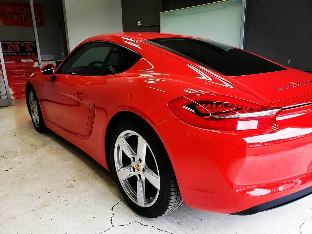 Woman with brown hair laughs, wearing a green shirt, against a white background.