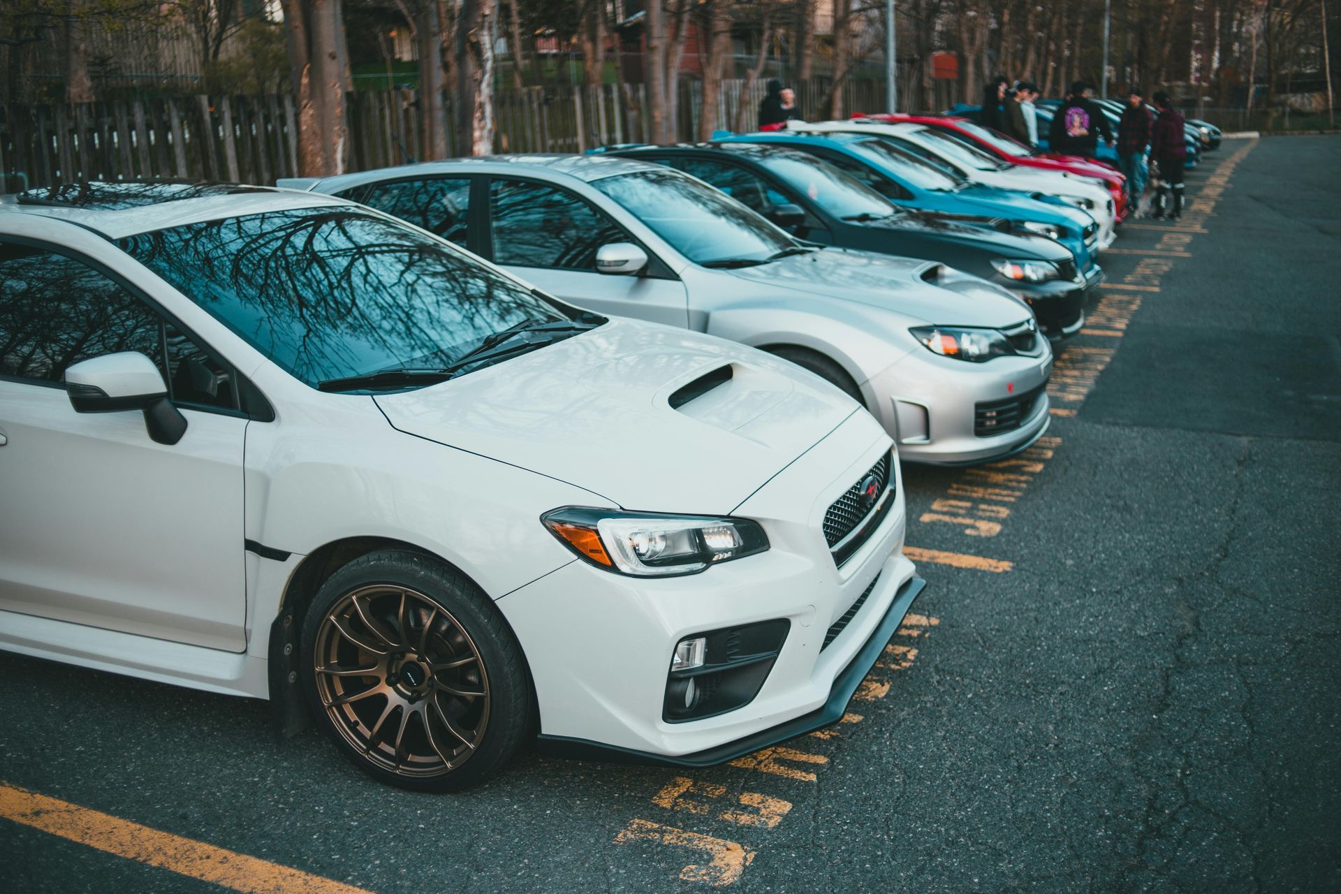 A line of parked Subaru cars, white and silver, along a curb with yellow parking lines.