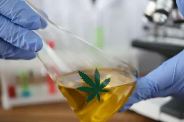 Person in blue gloves holds a lab flask with yellow liquid and a cannabis leaf, near a microscope.