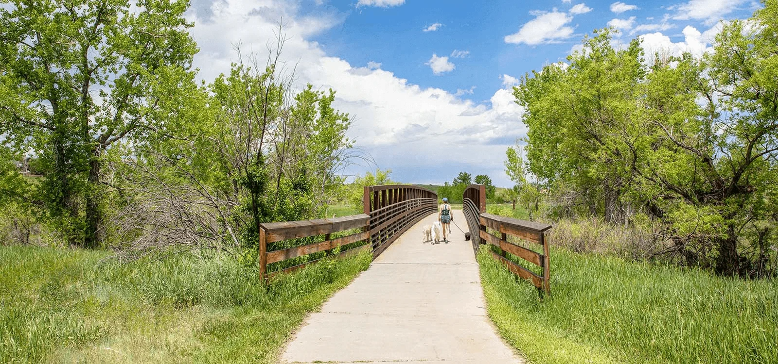 A person and their dog walk across a wooden pedestrian bridge surrounded by lush green trees under a bright blue sky.