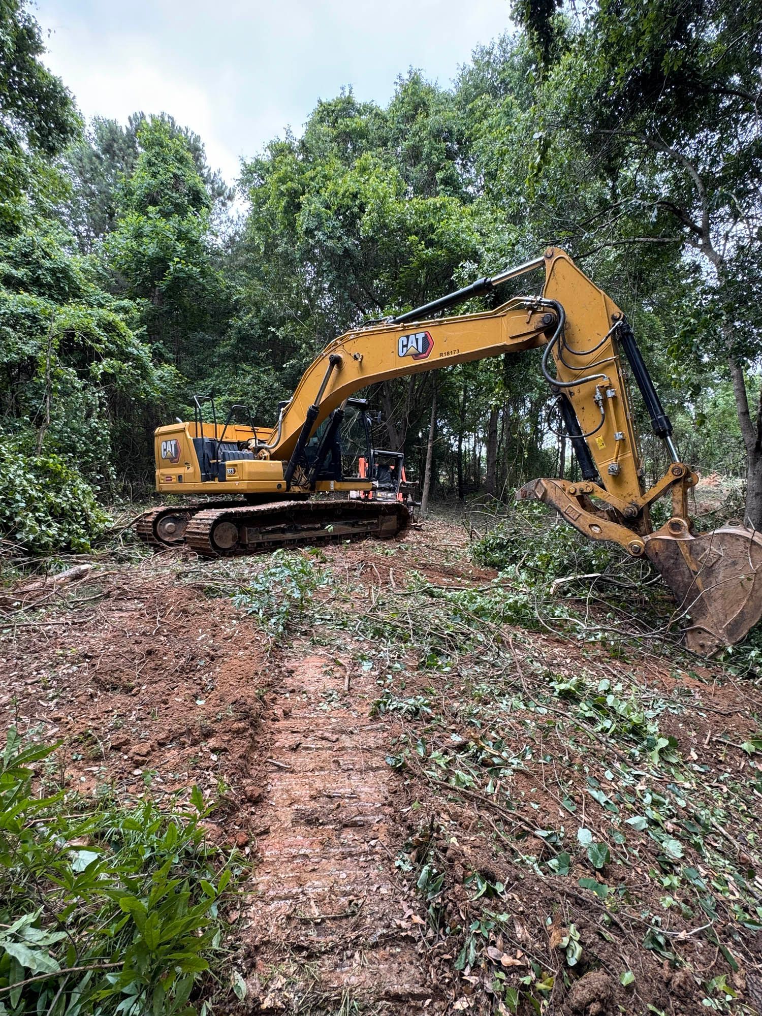 An orange excavator and white Bobcat removing a large tree from the side of a building under a blue sky.