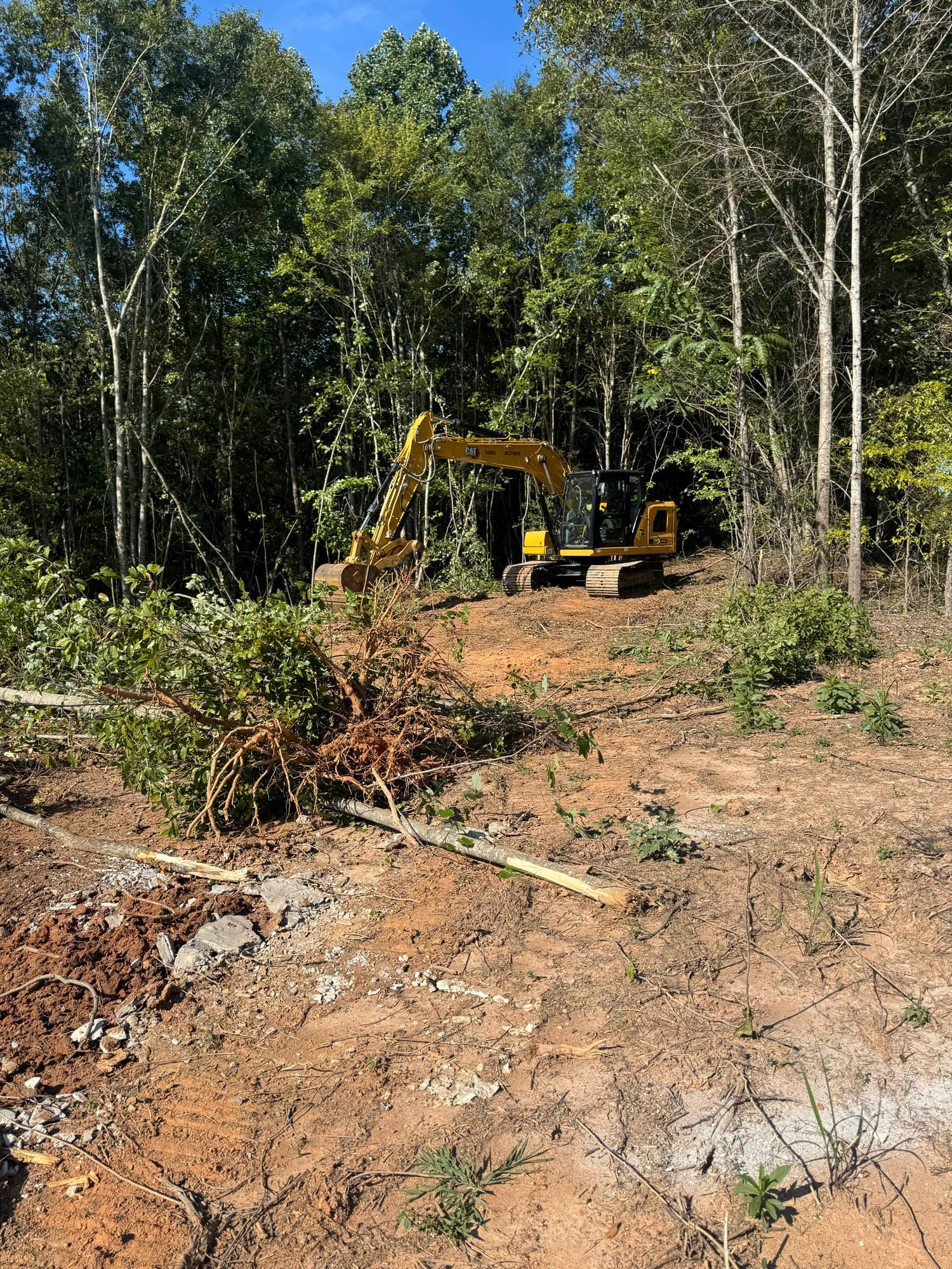 Excavator feeding a wood chipper; workers in a clearing on a sunny day.