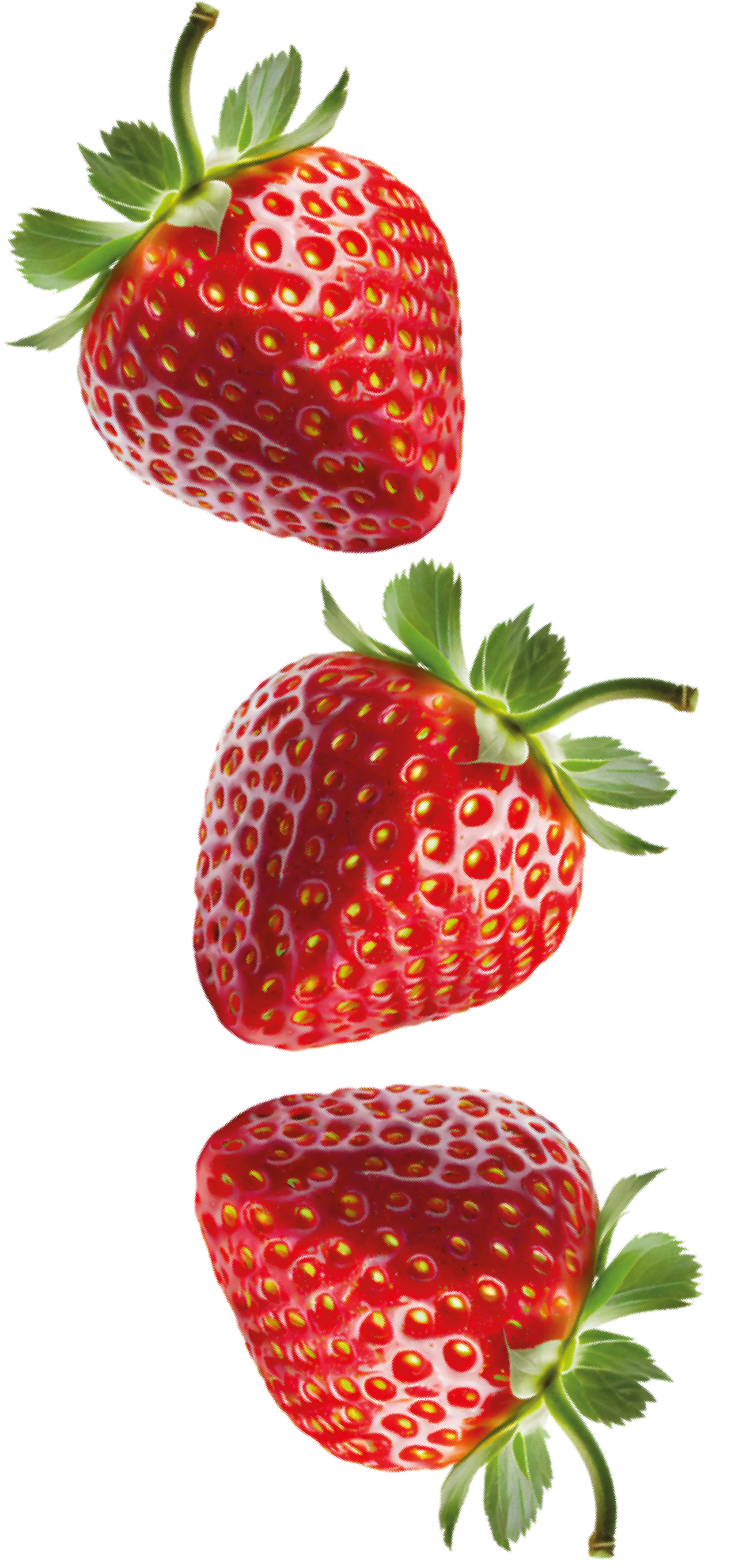 Tre fragole sono allineate in fila su uno sfondo bianco