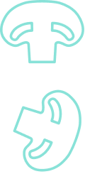 Un disegno lineare di un fungo su uno sfondo bianco.
