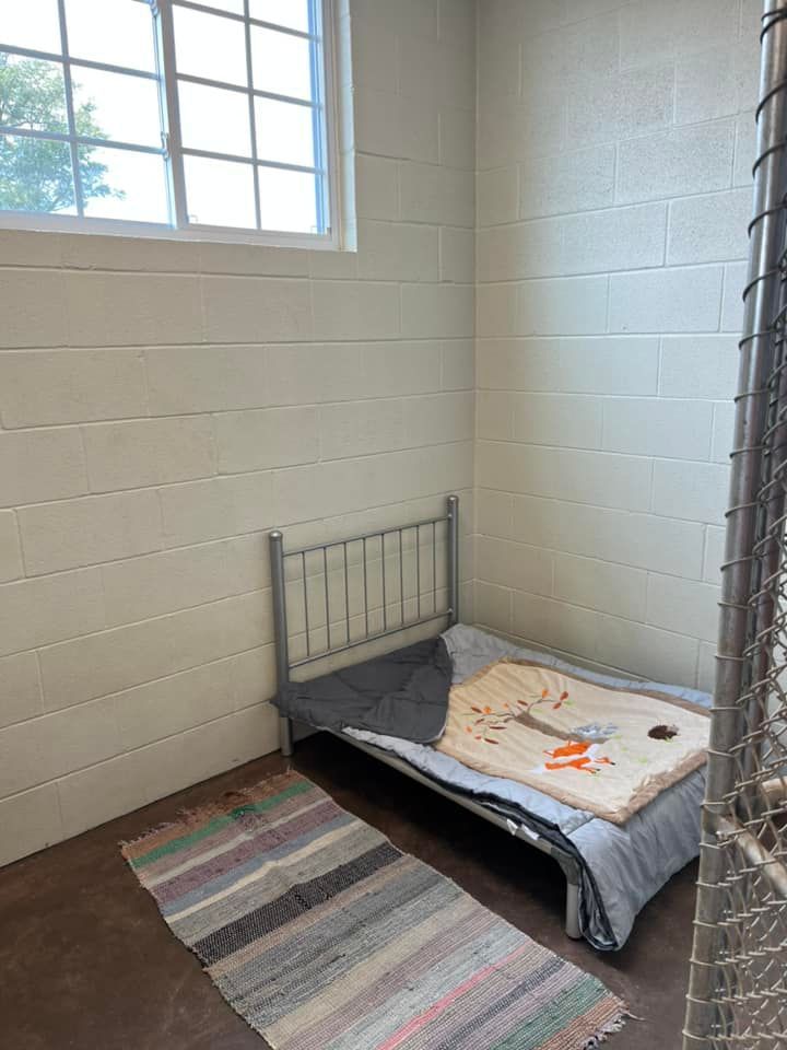 a small room with a bed and a rug in it .