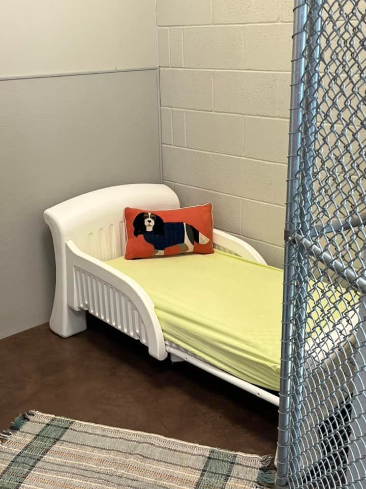 a small bed with a pillow on it in a room with a chain link fence .