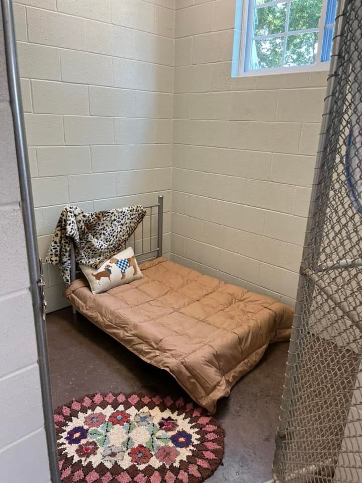 a small room with a bed and a rug in it .