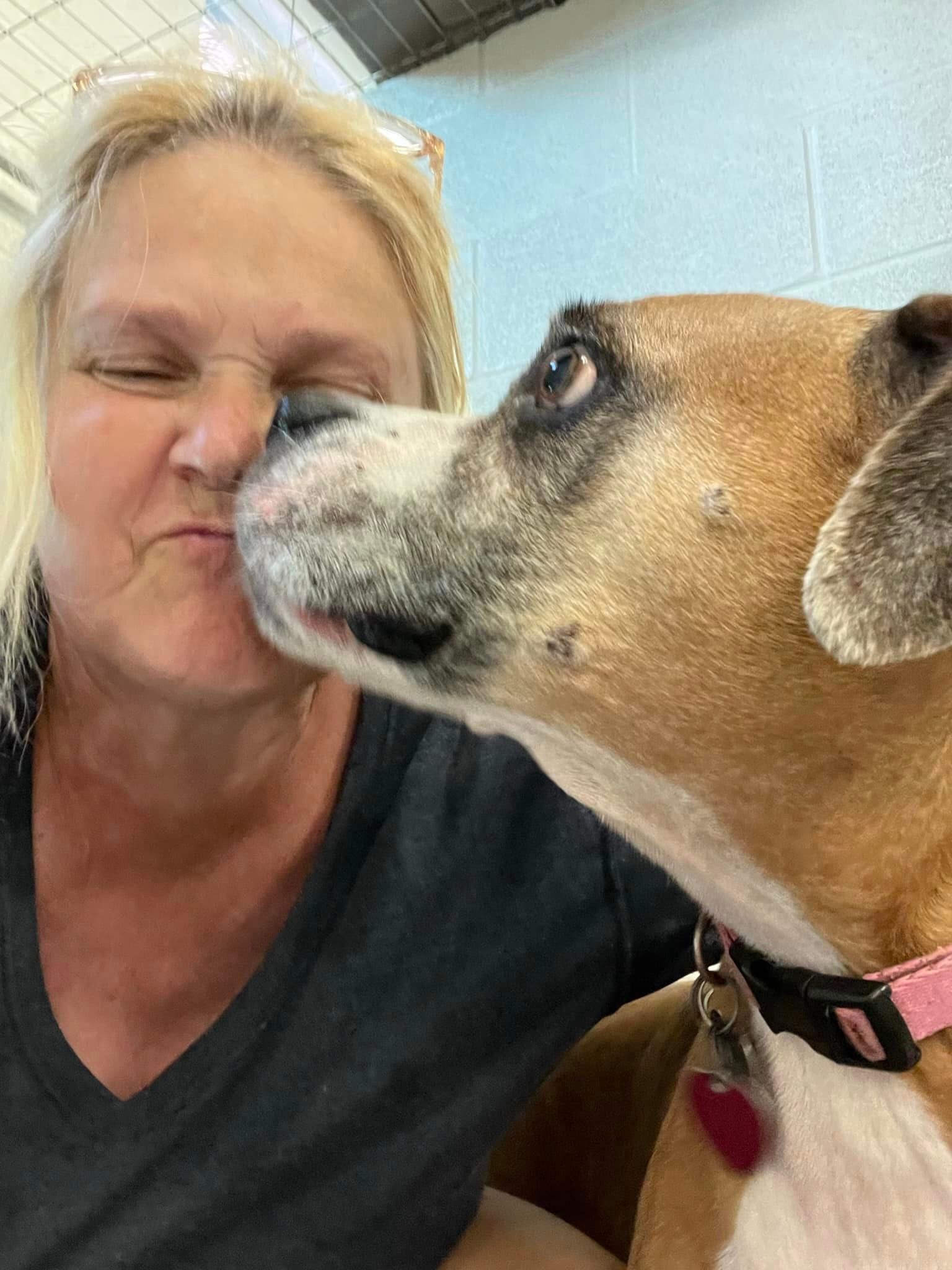 a woman is kissing a dog on the nose .