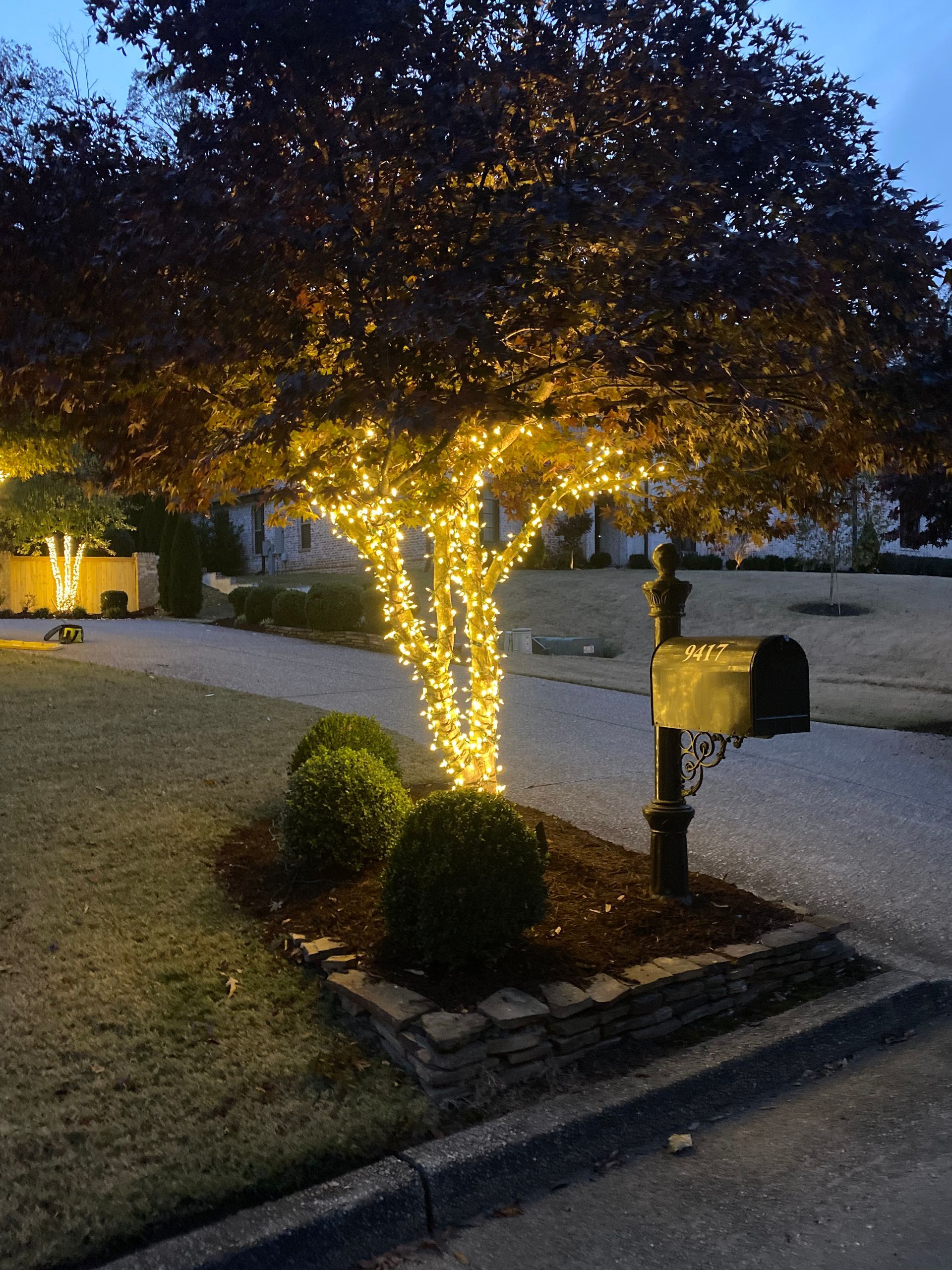 Tree with warm-toned string lights wraps its trunk and branches in a front yard. A mailbox and bushes are nearby.