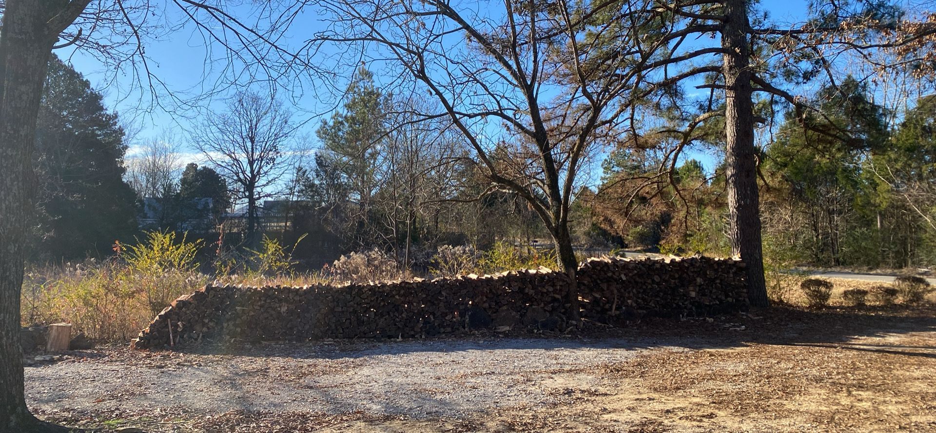 A large pile of firewood sits on a brown, grassy patch. Trees are in the background with a clear blue sky above.