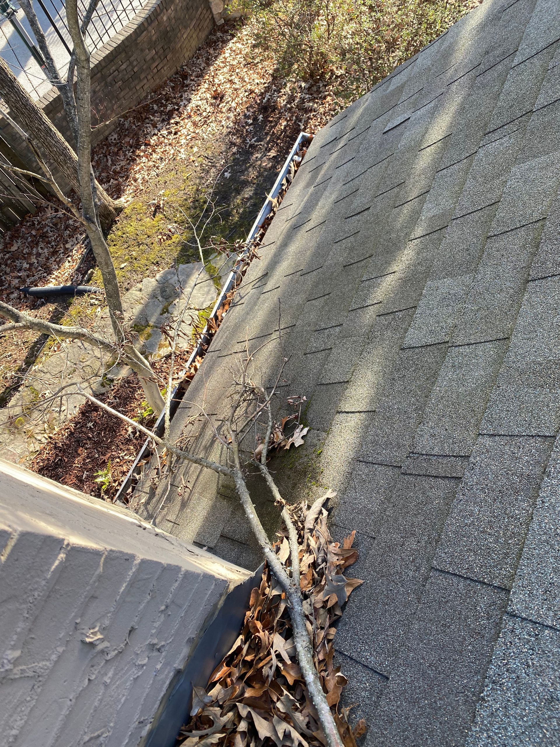 Close-up of a roof with debris and a partially visible gutter. The roof is angled and covered in shingles. A small tree grows nearby.
