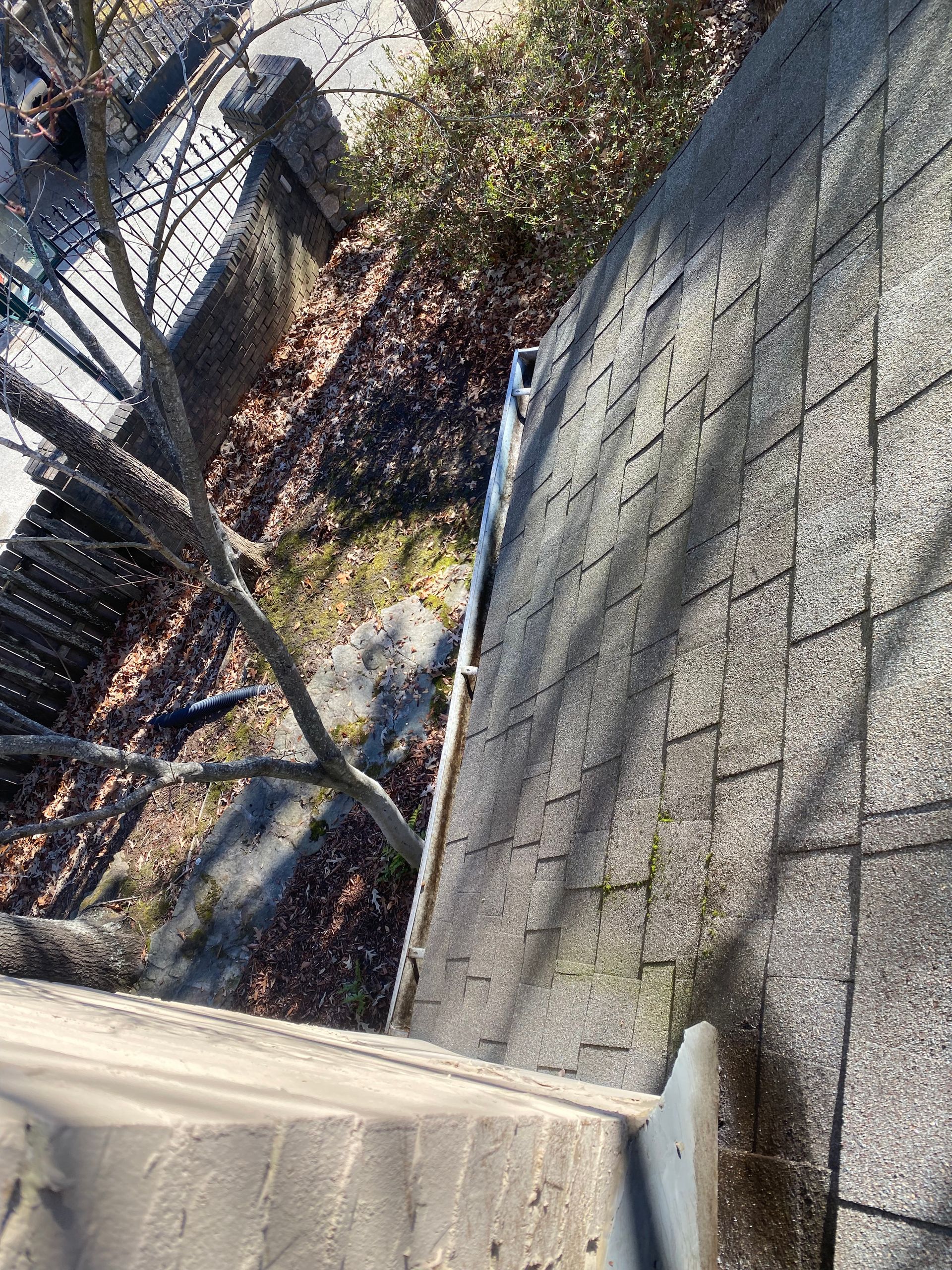 High-angle view of a dark roof with a ladder leaning against it. Fall leaves and a tree are visible.