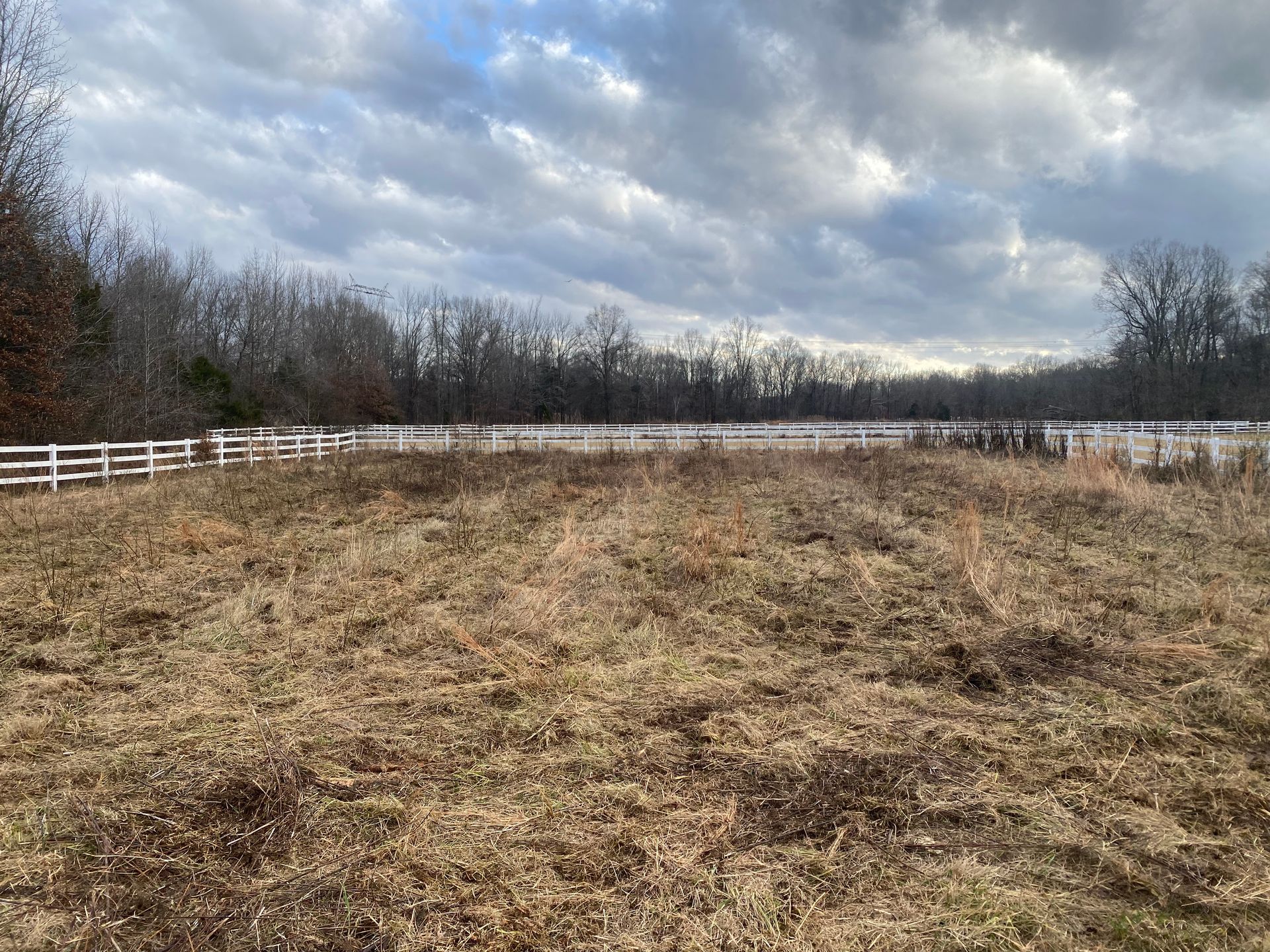 A field of dry grass enclosed by a white fence and lined with bare trees under a cloudy sky.