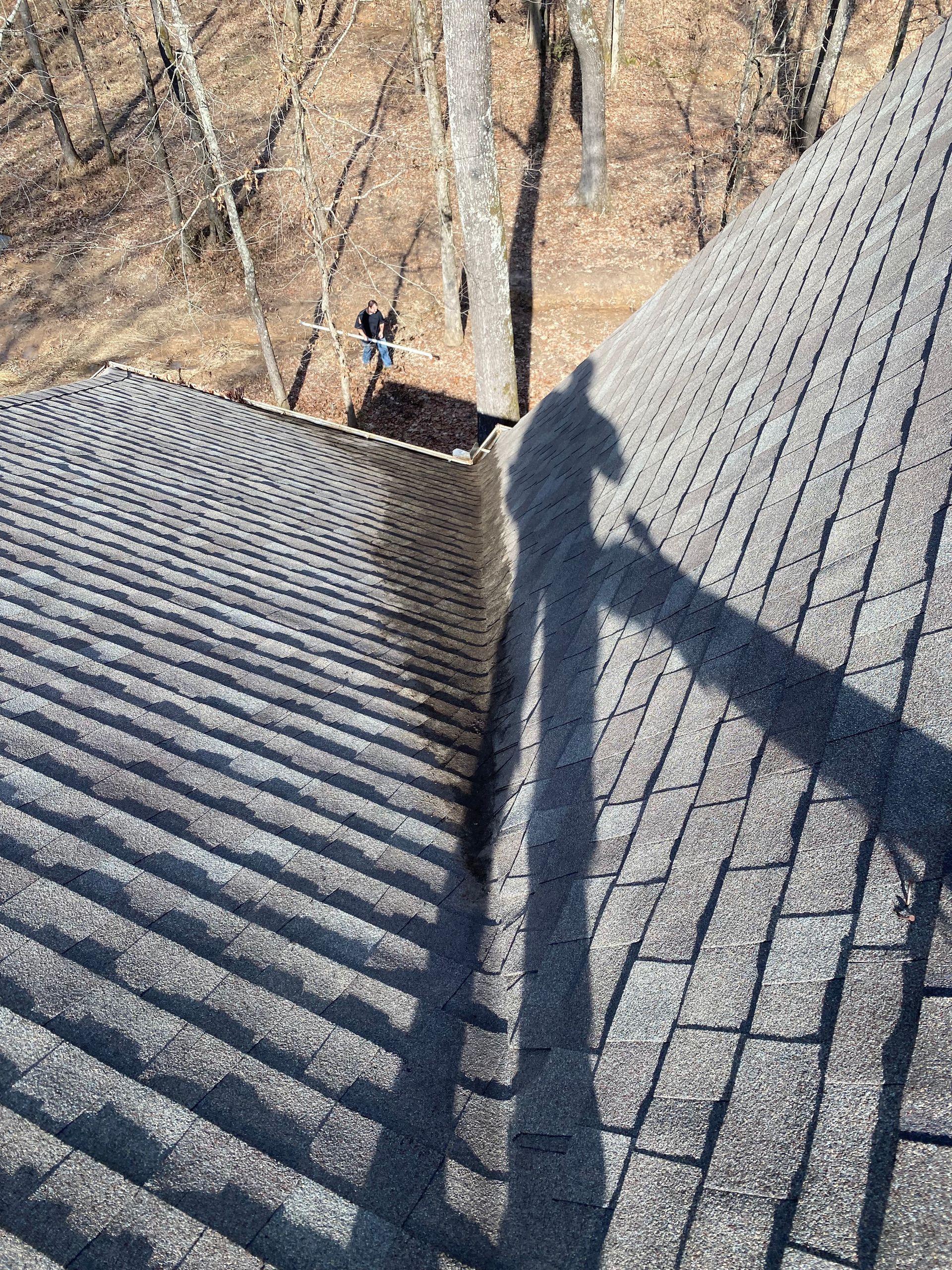 Shadow of a person on a roof. The roof has gray shingles; a tree and ground are visible behind.
