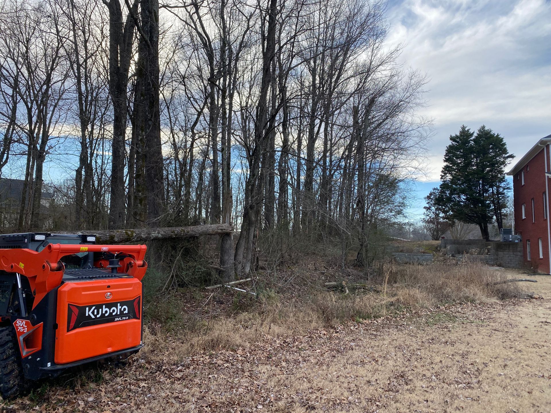 An orange Kubota skid steer clearing brush and small trees near a dirt road and a red brick building. Tall trees are in the background.