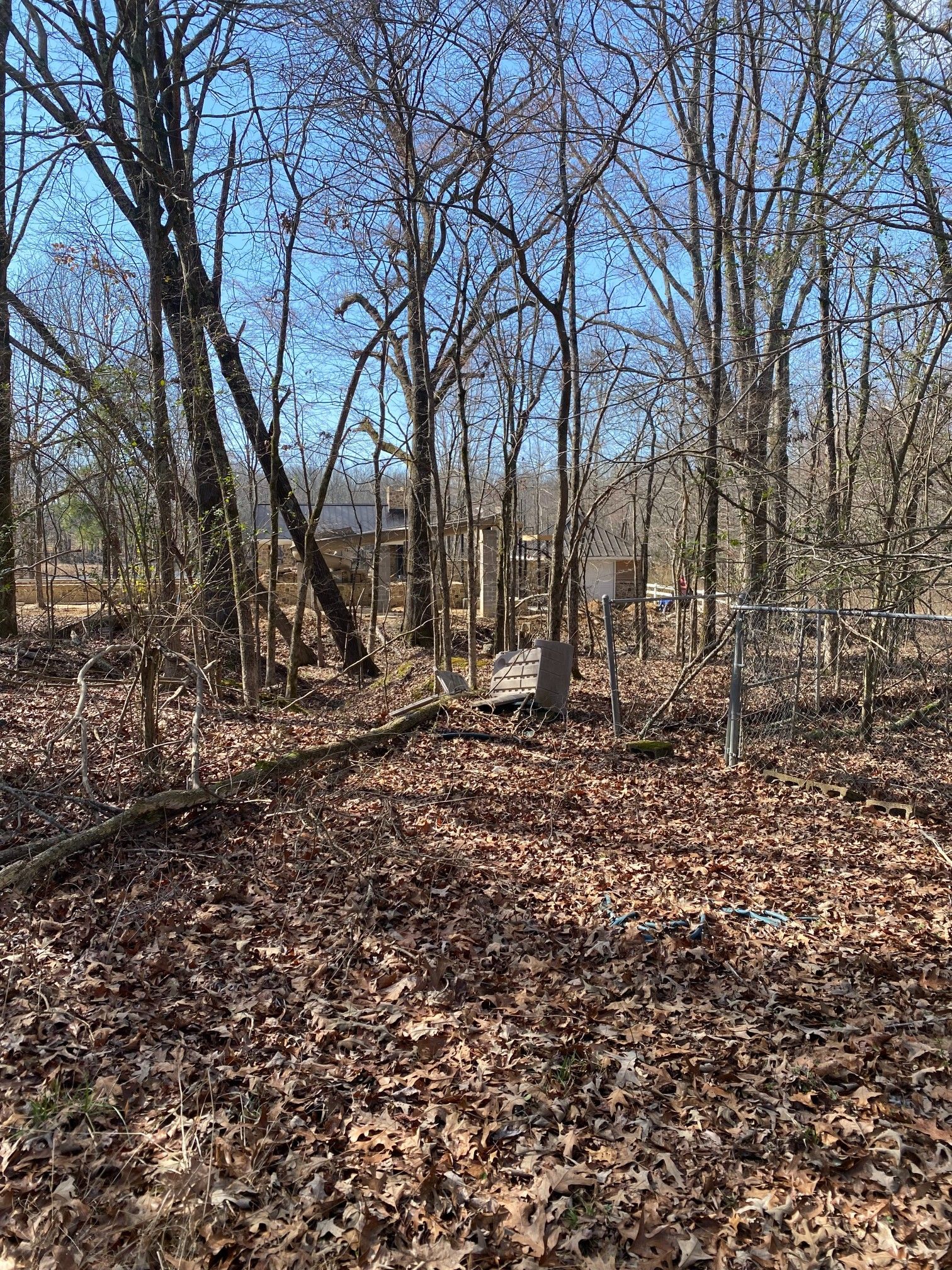 Forest clearing with a layer of brown leaves, bare trees, and a glimpse of structures in the distance under a blue sky.