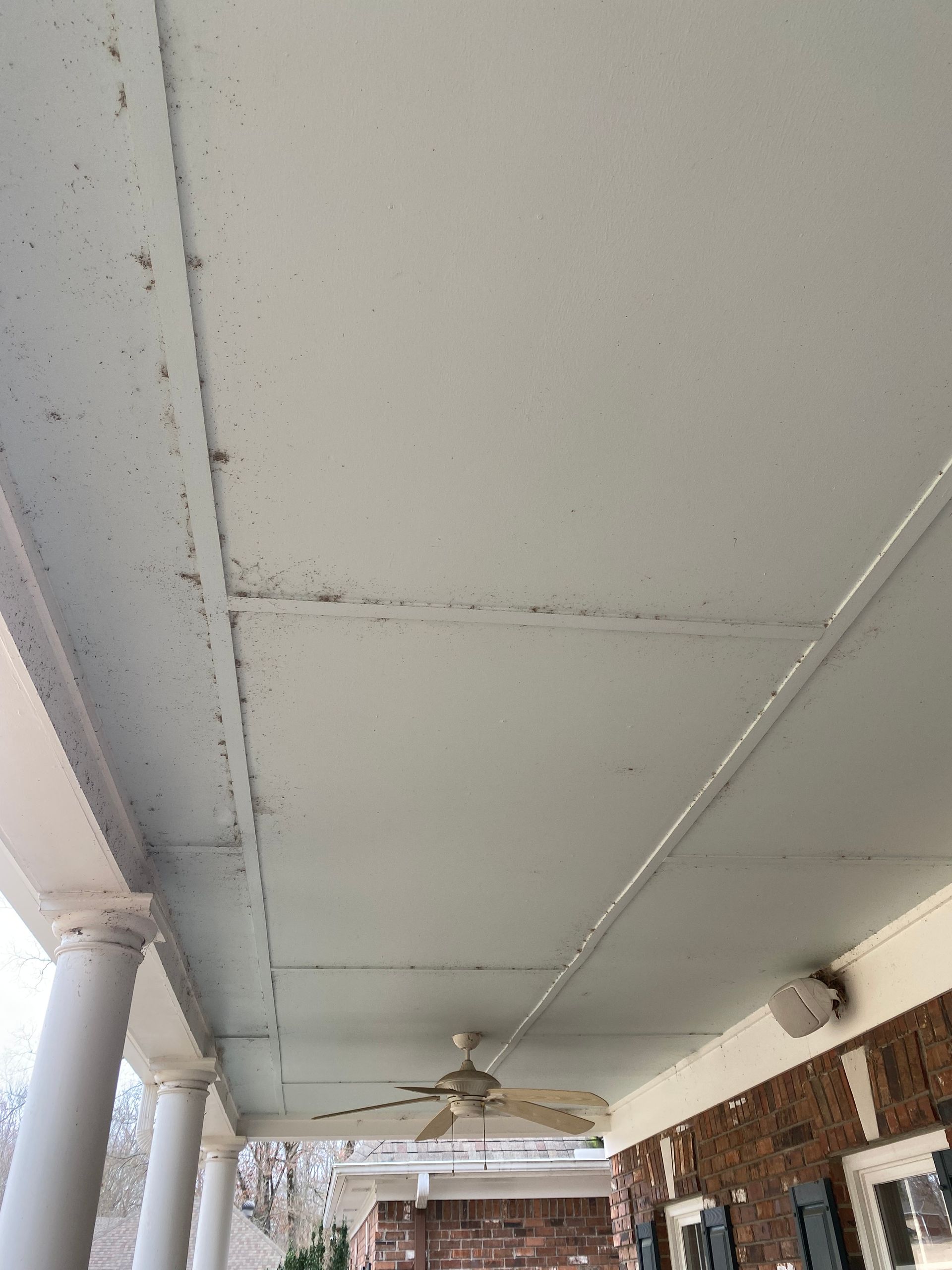 White porch ceiling with a ceiling fan and support columns. The ceiling has visible seams and some dark spots.