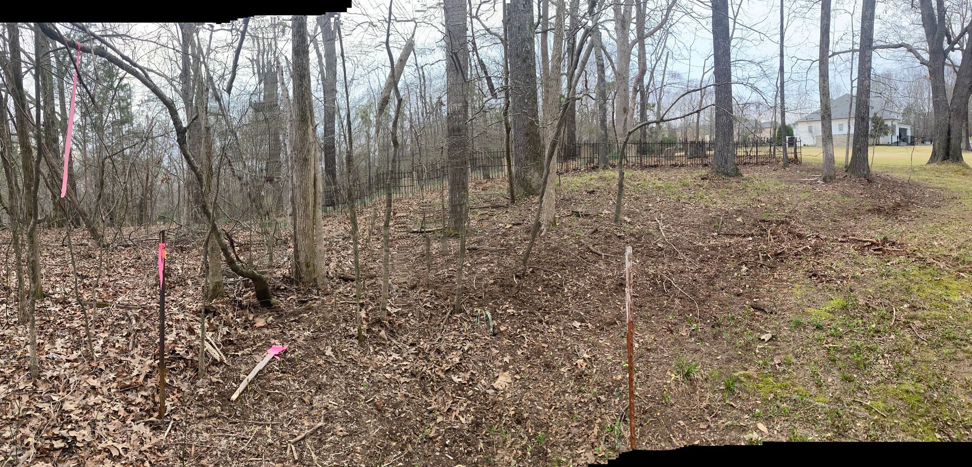 A wooded area with bare trees, brown leaves, and pink survey flags. A grassy patch appears in the background.