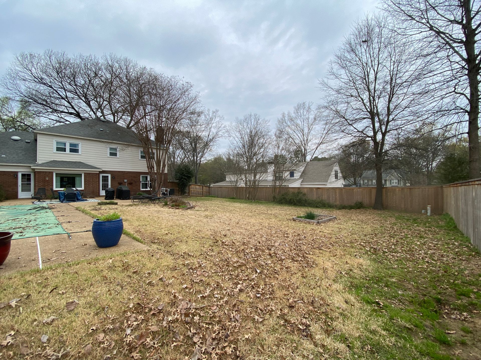 A backyard with a large, leaf-covered lawn, a house, and a wooden fence. The sky is overcast.