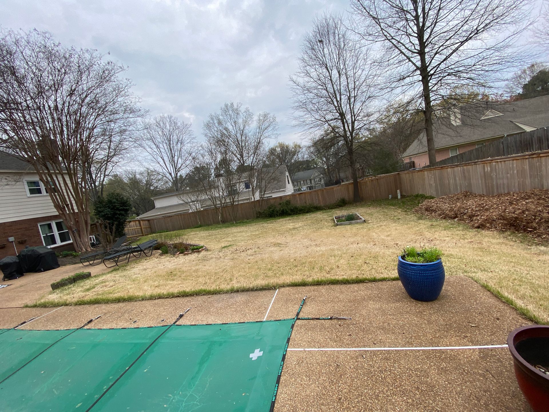 Backyard with a swimming pool covered in green, a blue potted plant, and a brown fence. The grass is dry and the sky is overcast.