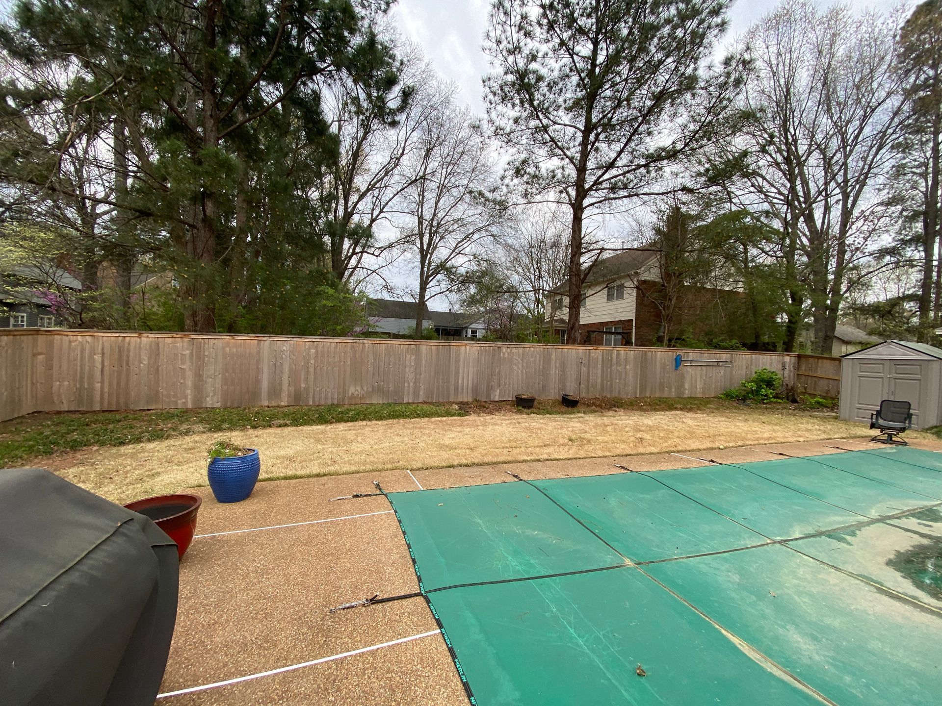 Backyard with a green pool cover, brown grass, wooden fence, trees, and a shed.