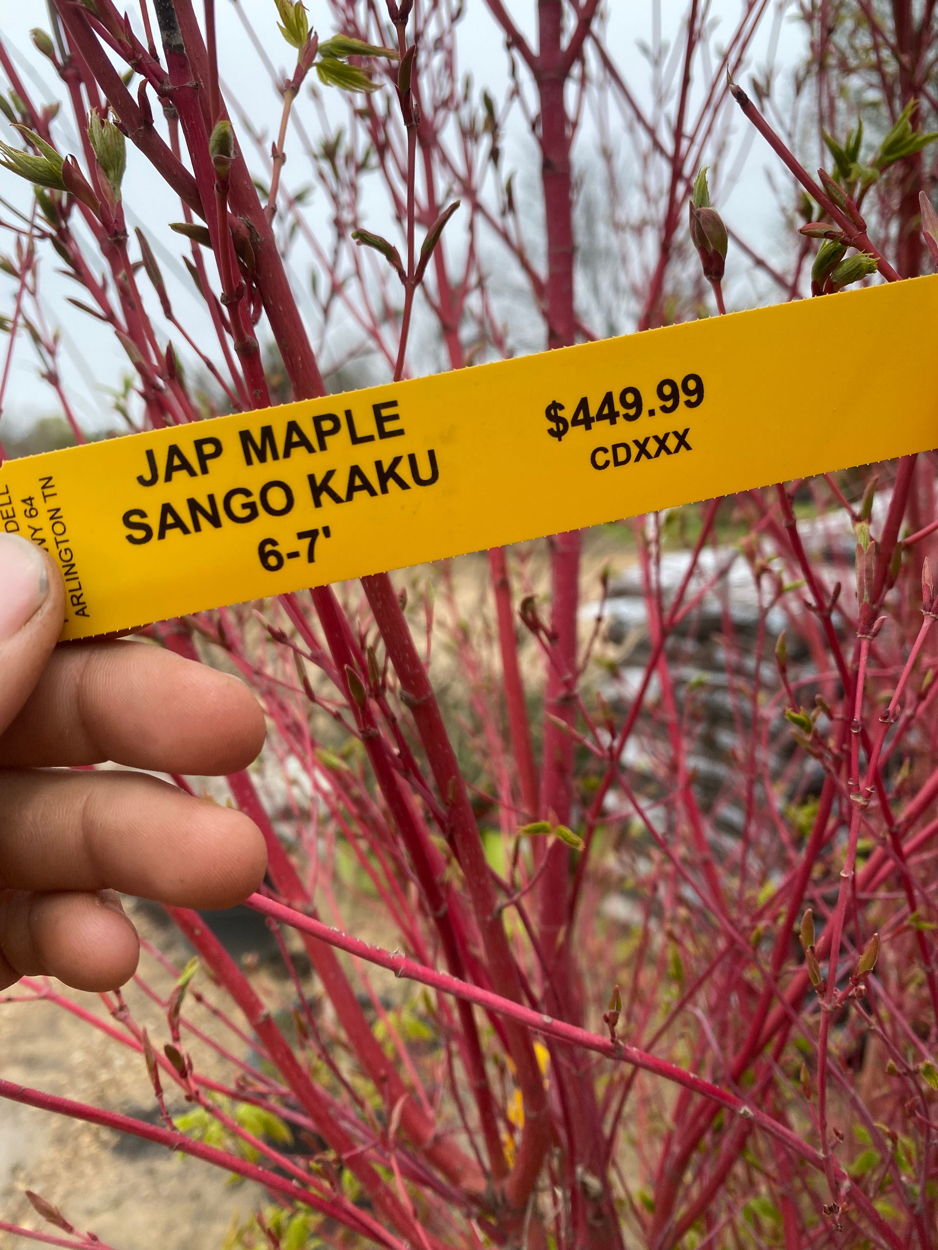 A hand holding a yellow tag that reads 