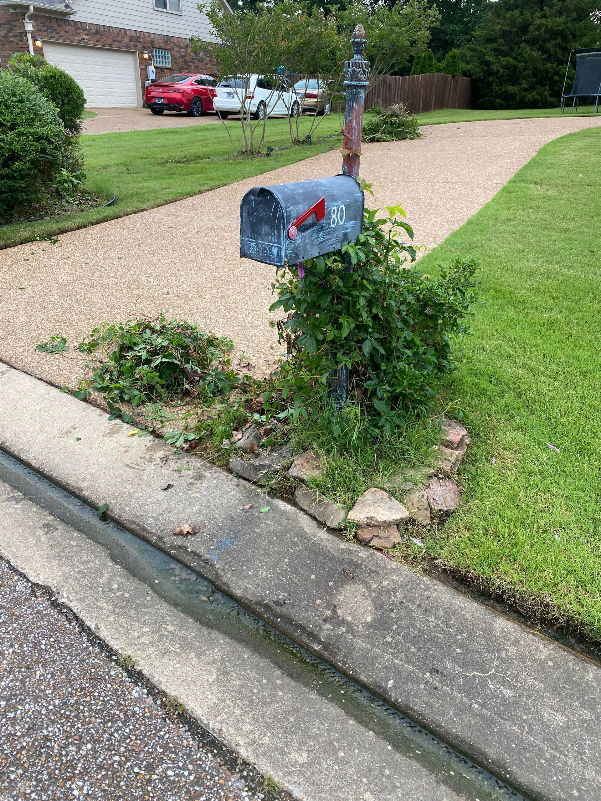 Blue mailbox overgrown with greenery, on a gravel driveway beside a curb and grassy lawn. Cars and a house are in the background.