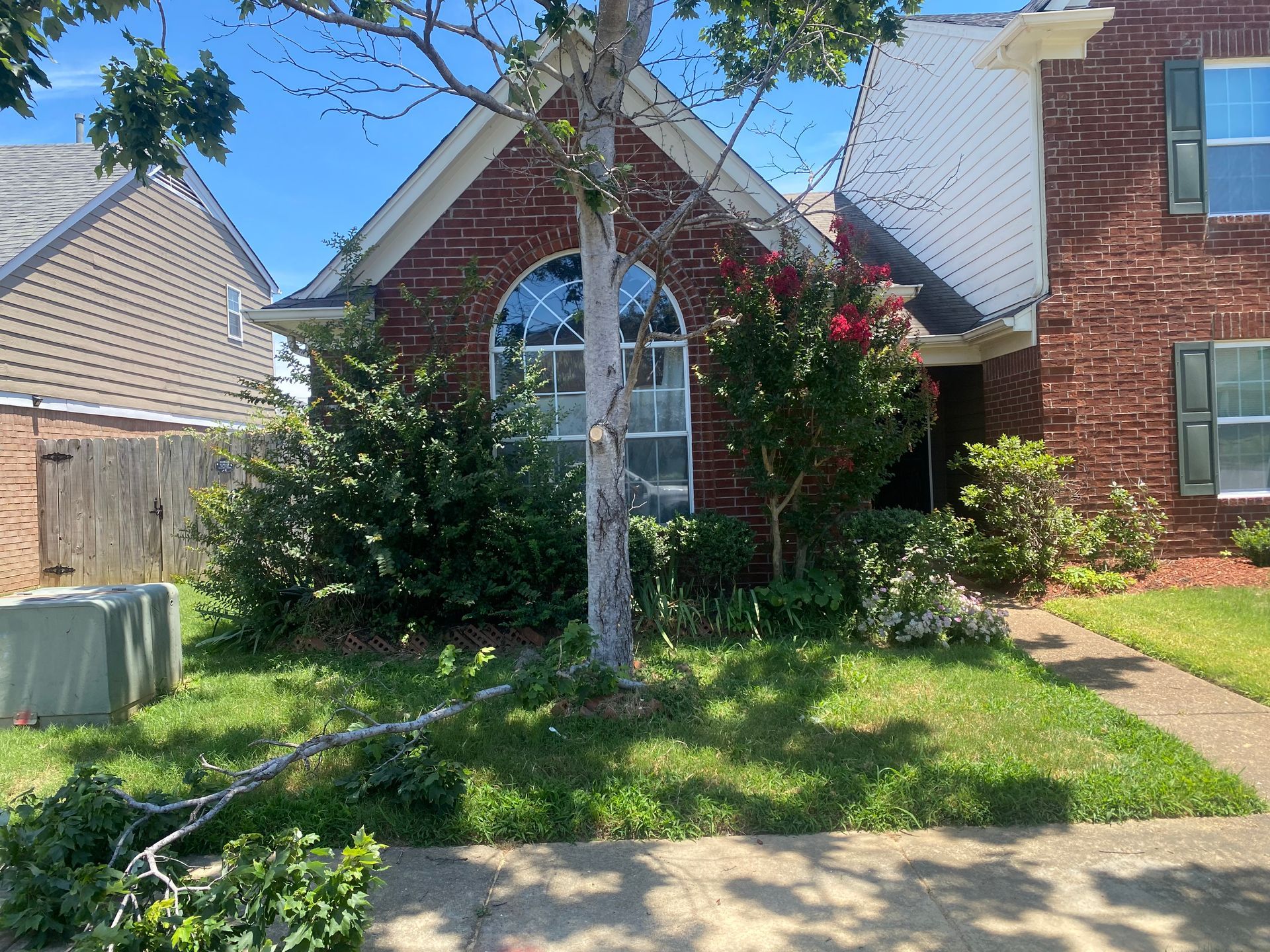 A brick house with a tree trunk in front and fallen branches on the grass. The sky is blue.