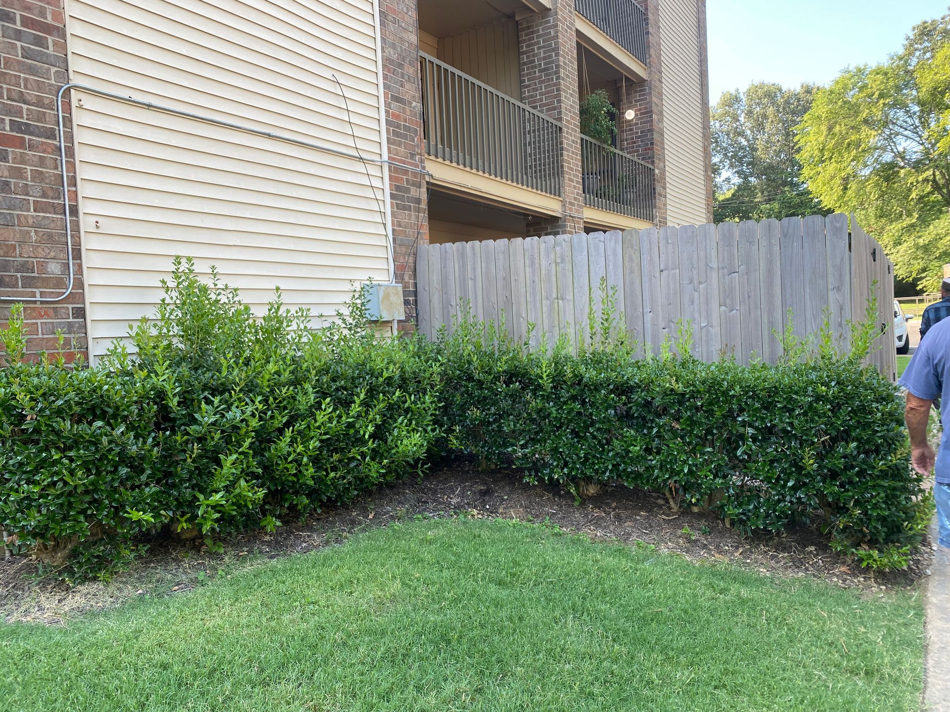 Green hedge and grass border a weathered wooden fence next to a light-colored building with balconies.