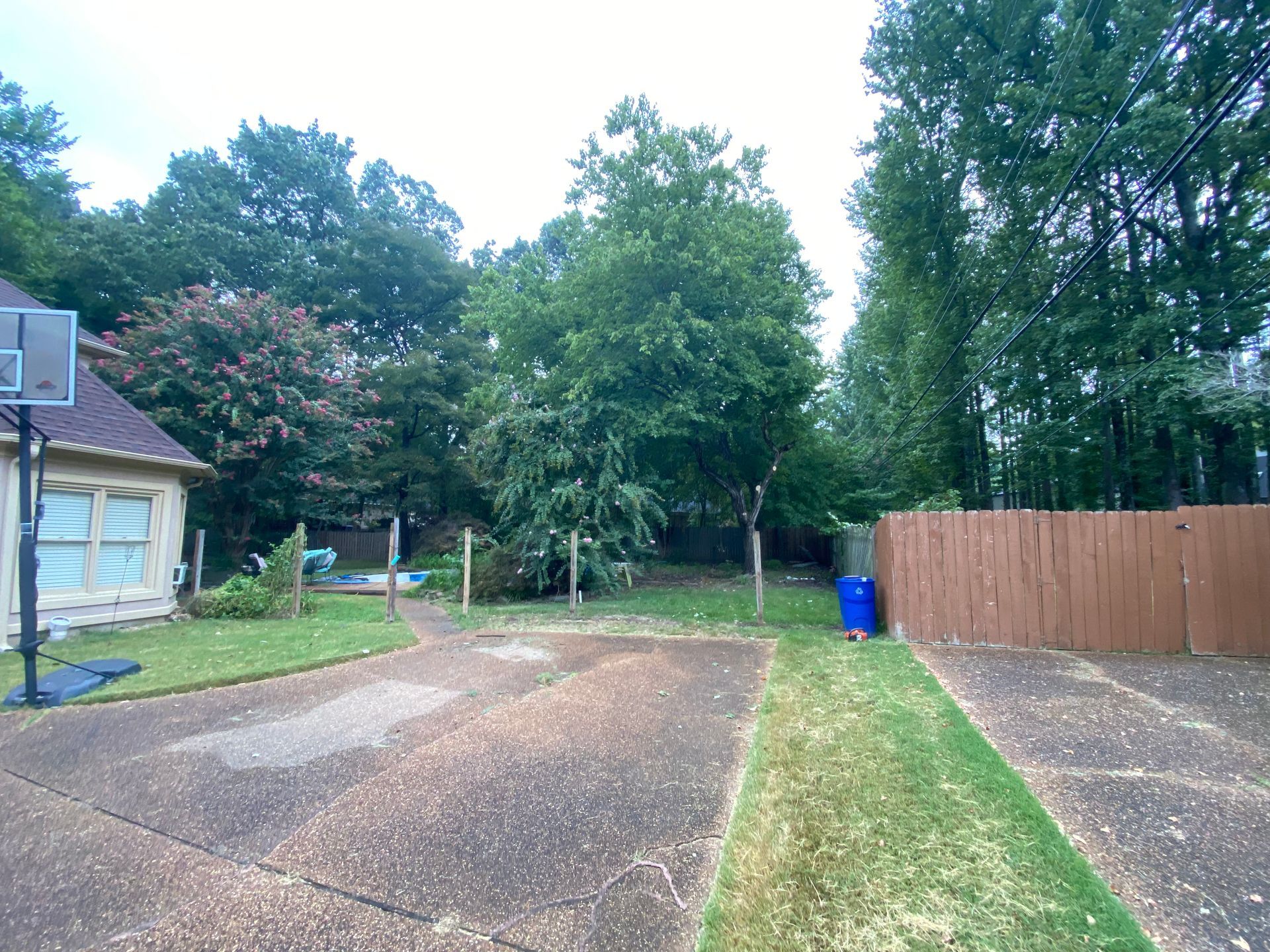 Backyard with driveway, grass, wooden fence, trees, basketball hoop, and blue trash bin. Overcast day.