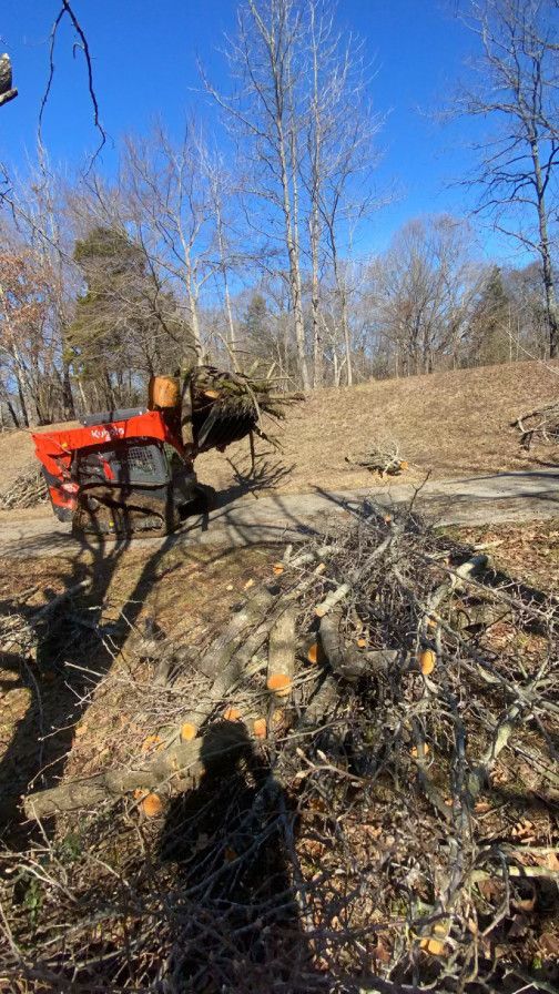 A wood chipper in a wooded area, processing branches. Bare trees and a sunny day are visible.