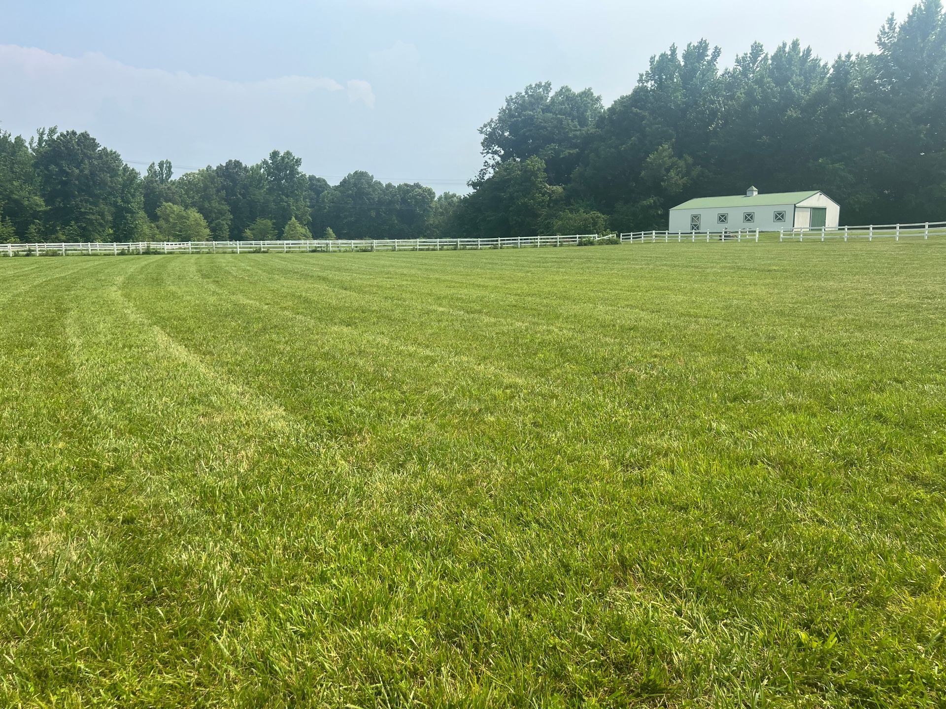 Mowed green field with a white fence and building, and treeline on a sunny day.