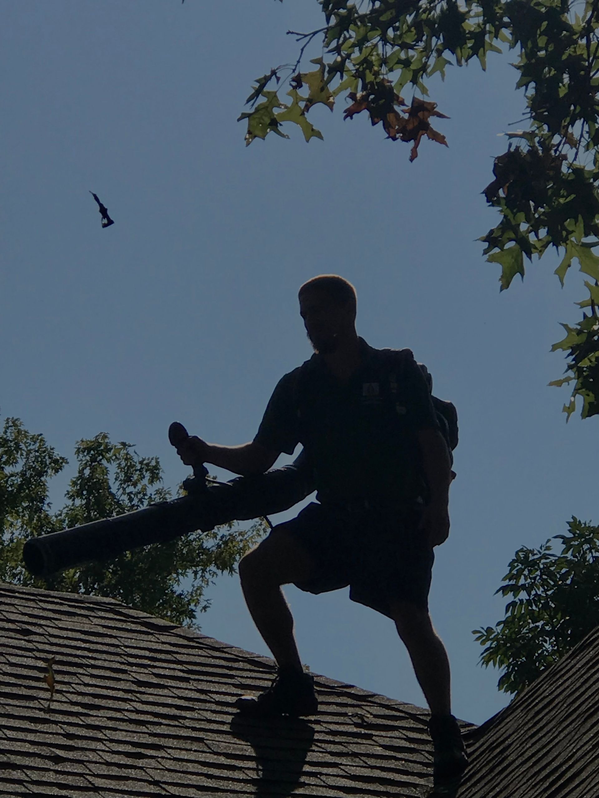 Silhouette of a person on a roof using a leaf blower against a bright blue sky and tree branches.