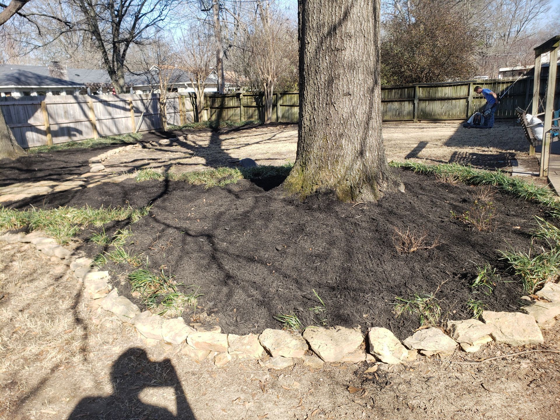 A backyard with a tree surrounded by black mulch, edged with rocks. A shadow of a person is cast on the ground.