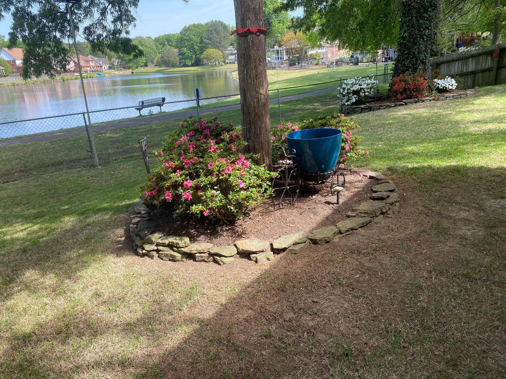 A tree in a backyard with a lake view. Pink azaleas and a blue pot surround the tree, framed by a stone border.