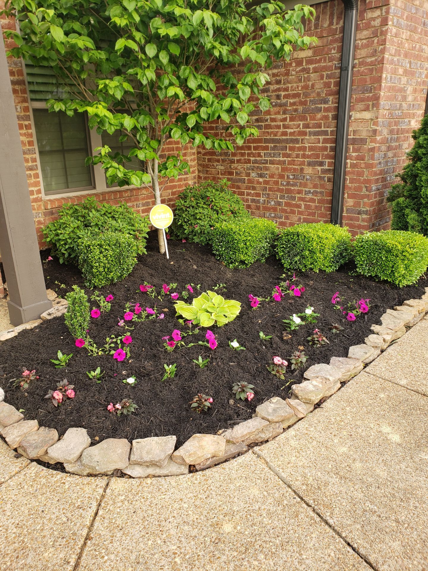 Flower bed with dark mulch, edged by stones, containing pink and white flowers and green shrubs, set against a brick wall.