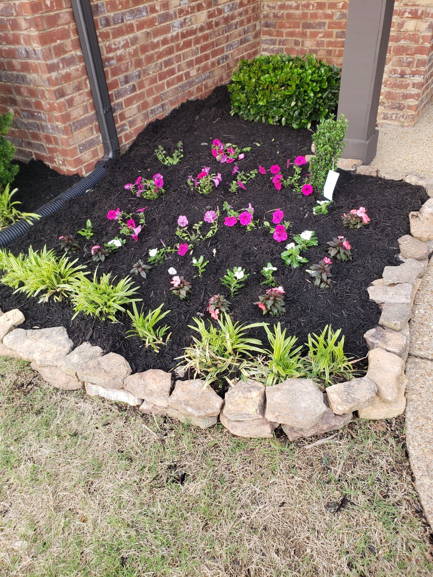 Flowerbed with pink and white flowers, bordered by rocks and mulch, near a brick wall and grass.