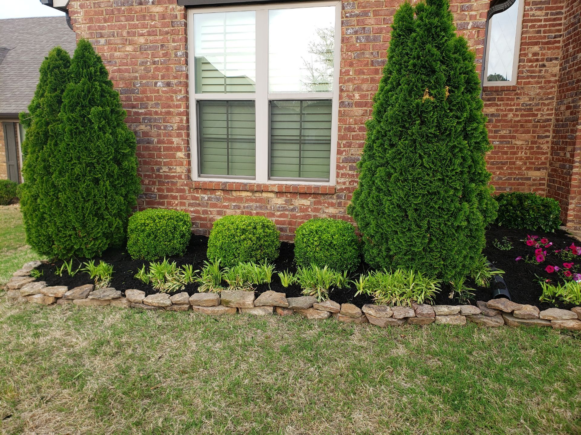 Green shrubs and trees border a brick house, including two tall evergreens, trimmed round bushes, and a bed of flowers.