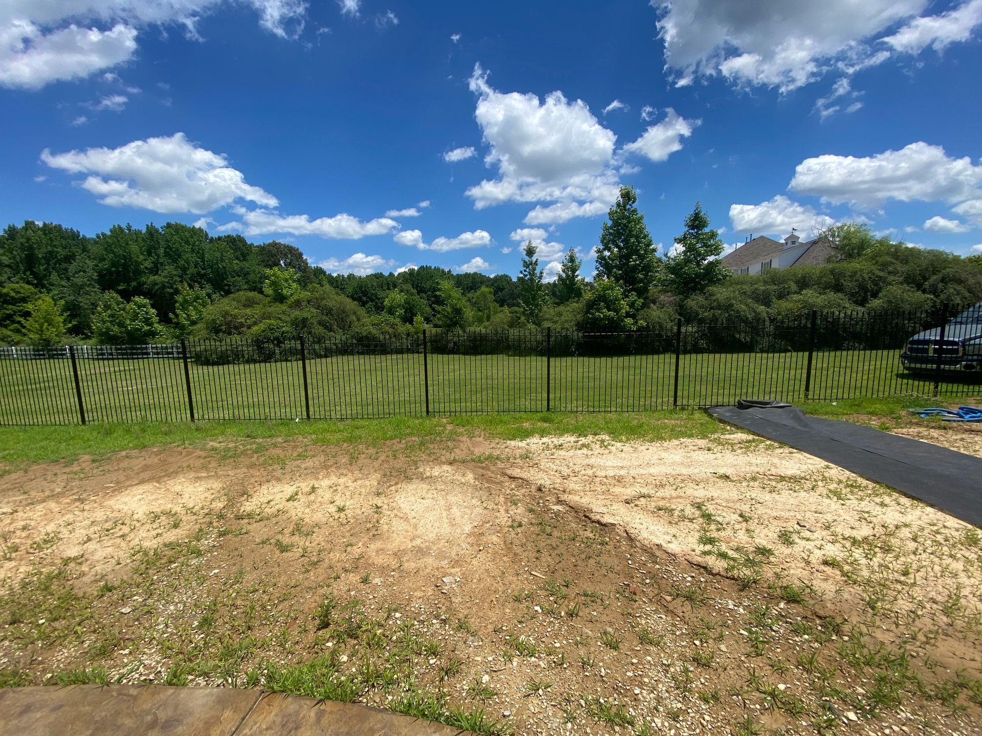 A backyard with a black fence, green grass, and a patch of dirt. A blue sky with white clouds is overhead.