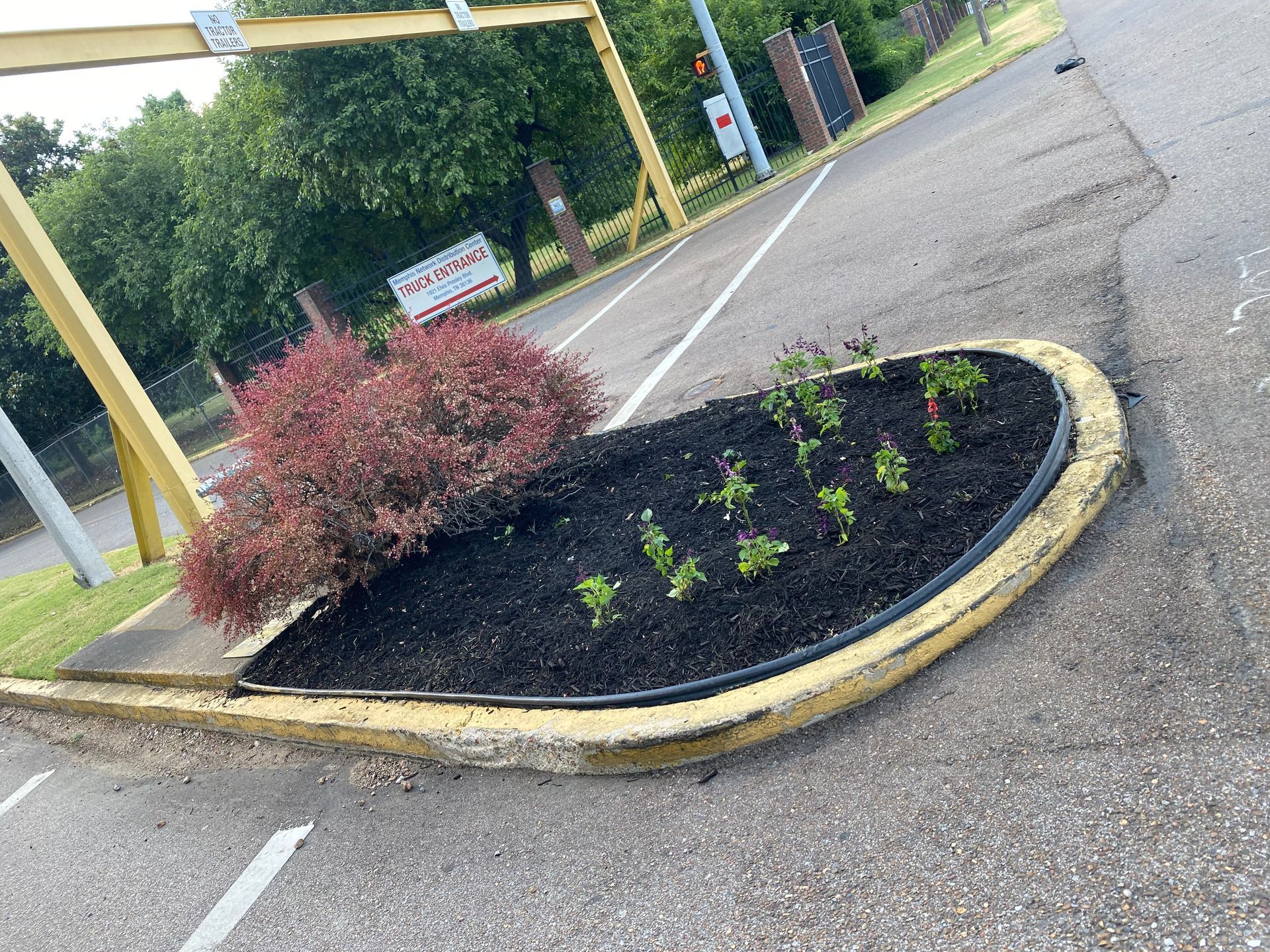 Small landscaped median with red and green plants, bordered by a yellow curb in a parking area.