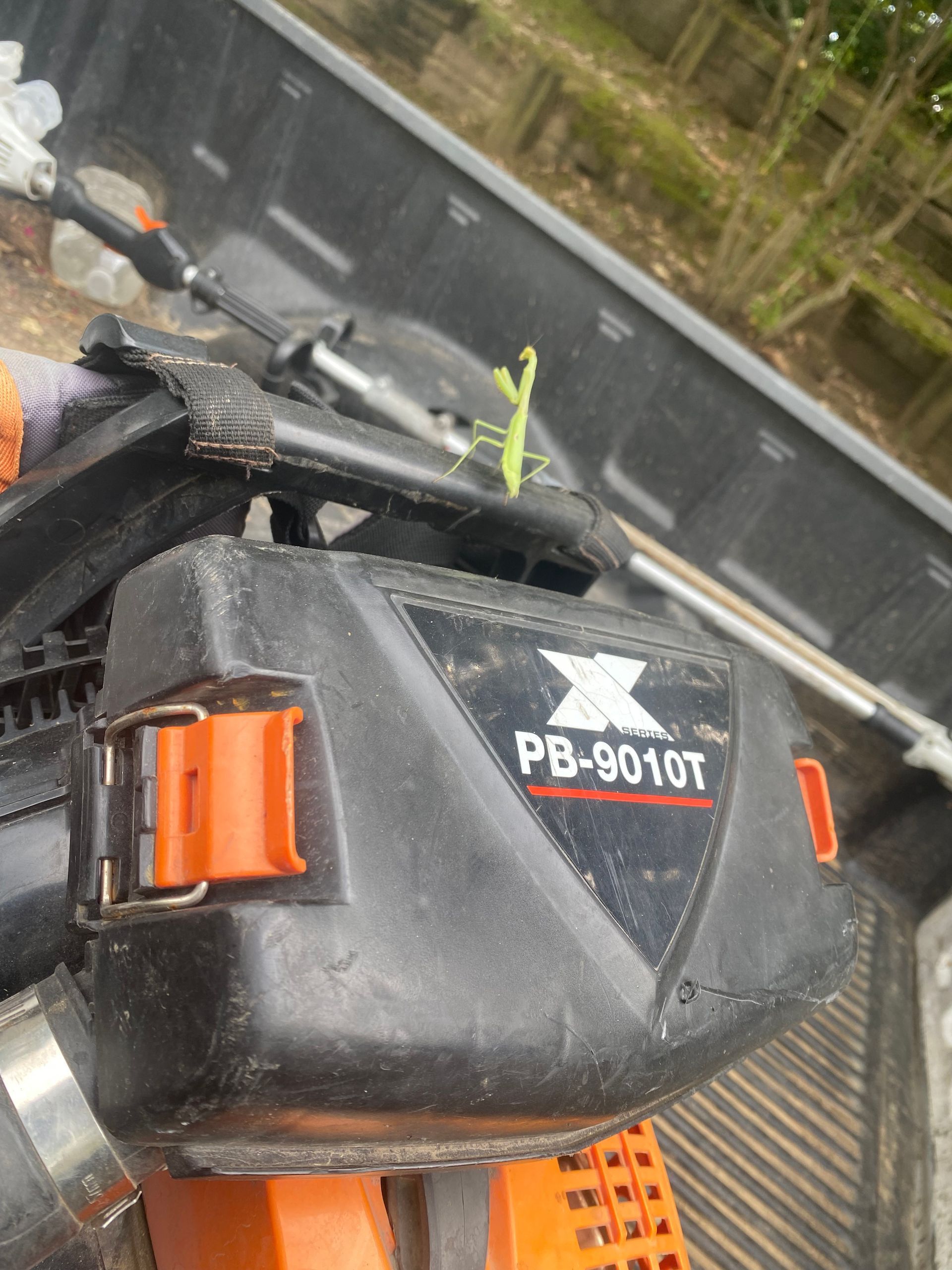 A green praying mantis rests on a black and orange Echo PB-9010T leaf blower in an outdoor setting.