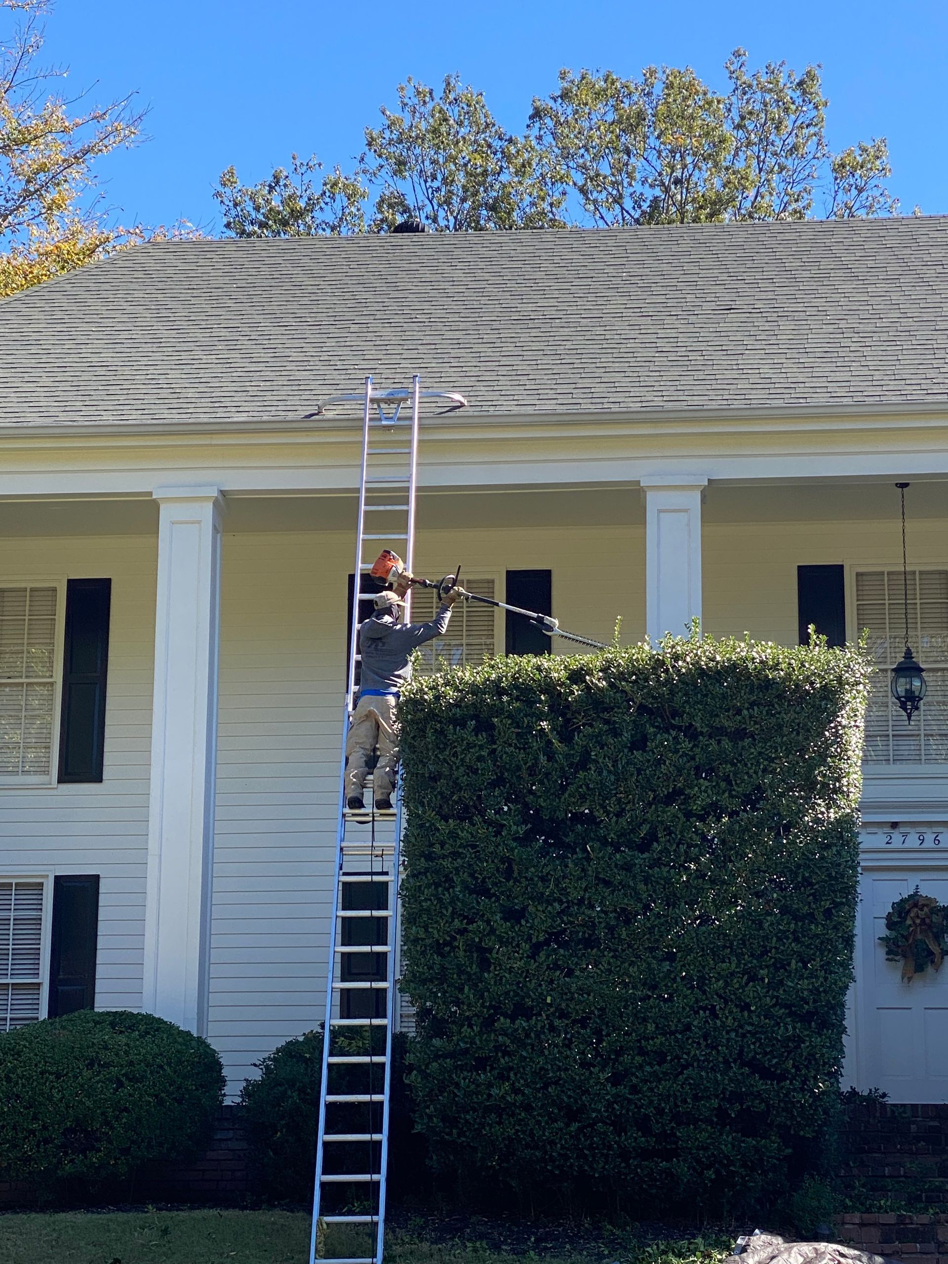 Person on a ladder working on the roof of a white house with columns. A large hedge is in the foreground.