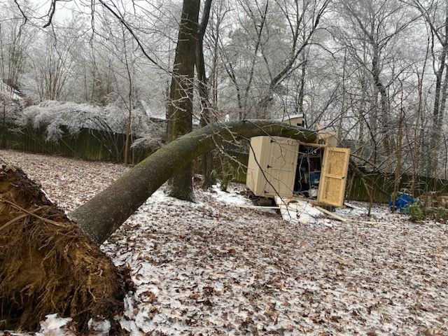 A large tree lies uprooted, leaning towards a small wooden structure in a snowy, wooded area.