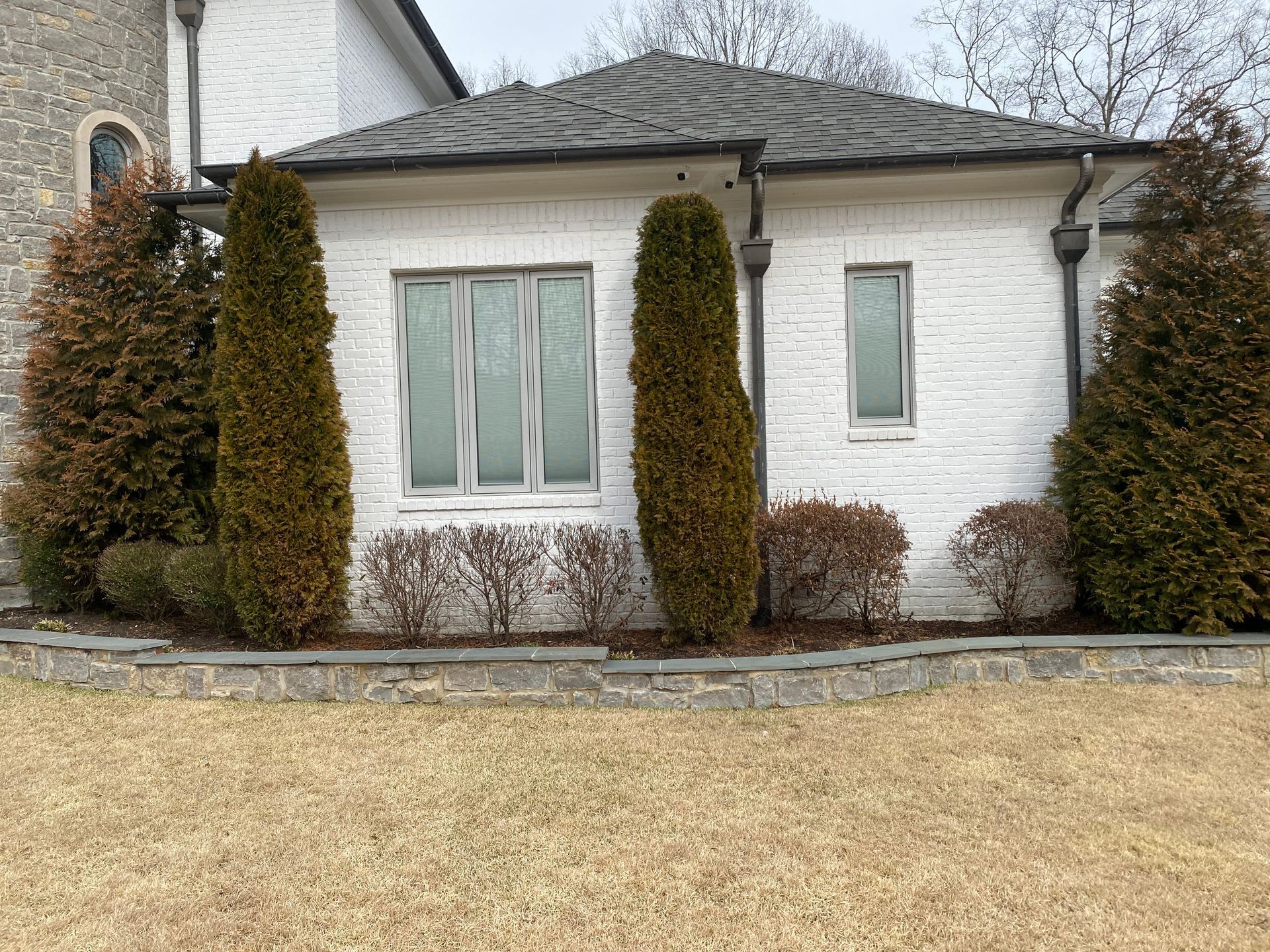 White brick house with a gray roof, trimmed by tall evergreen trees and bushes, set on a stone border with dry grass.