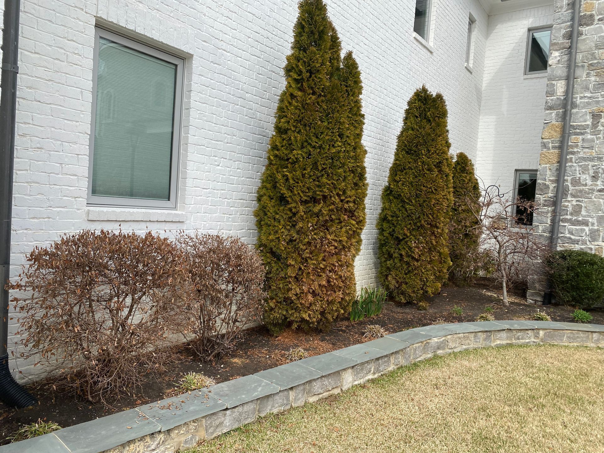 A brick house with a row of green and brown plants in front of it. The plants are set in a raised stone bed.
