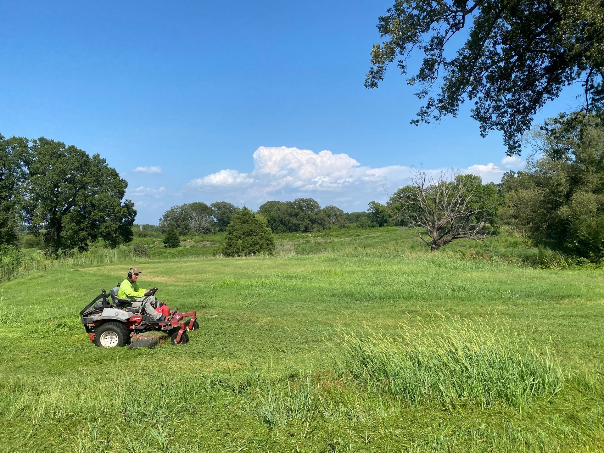 A person on a riding lawn mower cuts tall green grass in a field on a sunny day. Trees line the background under a blue sky.