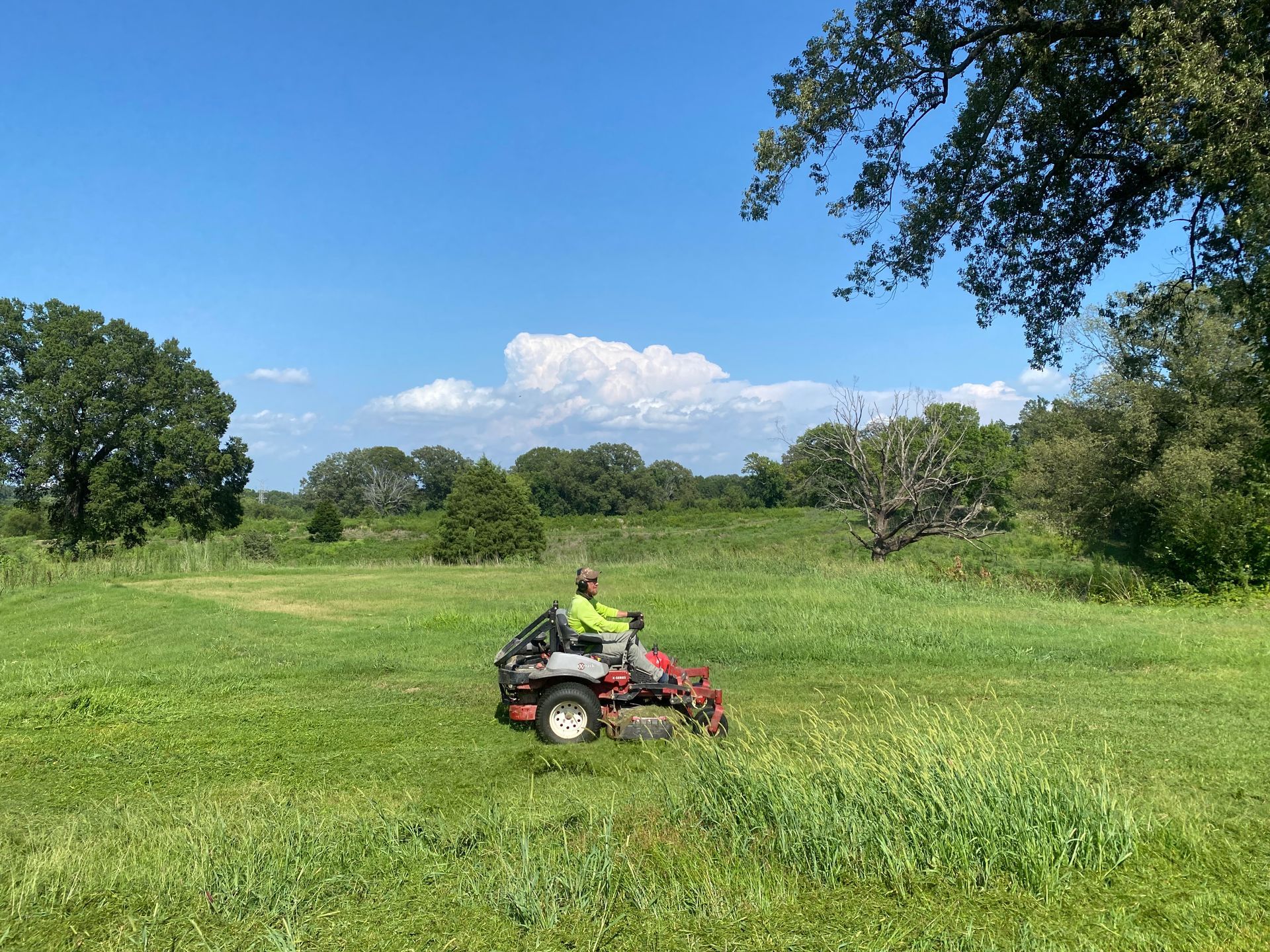 A person mows tall green grass on a red riding lawnmower in a field under a blue sky, trees in the background.