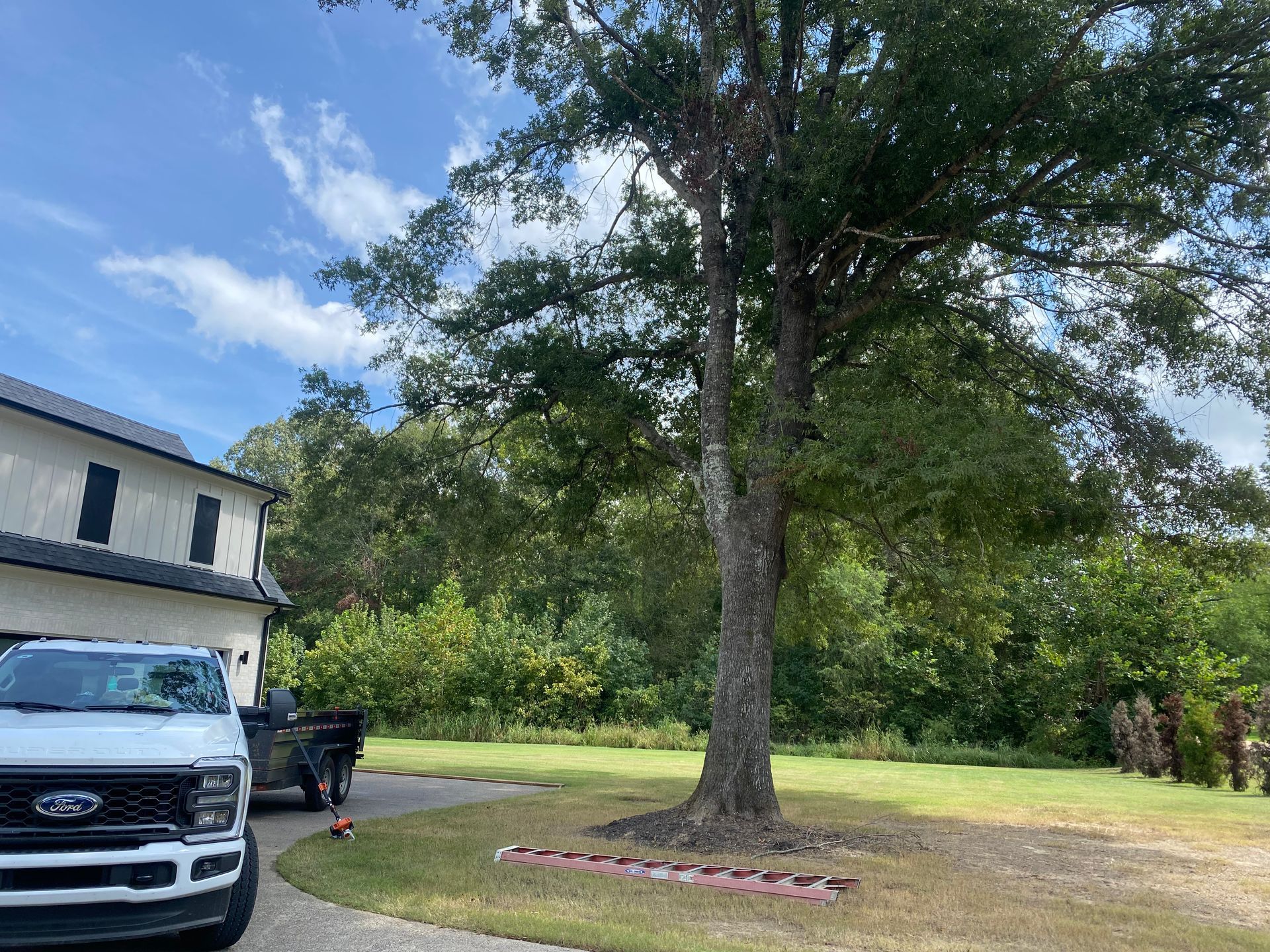 A white truck parked on a driveway next to a house and a large tree on a sunny day.
