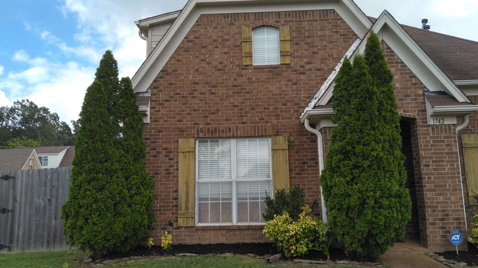A brick house with two tall, green, conical trees flanking a window. Yellow shutters, brown trim, and a blue sky.