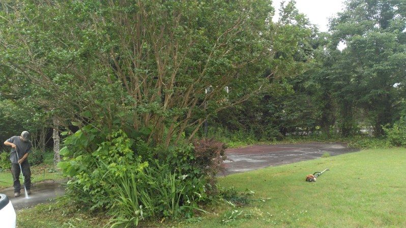 Man trimming a large bush near a driveway with a small lawn in front. Green foliage dominates the scene.